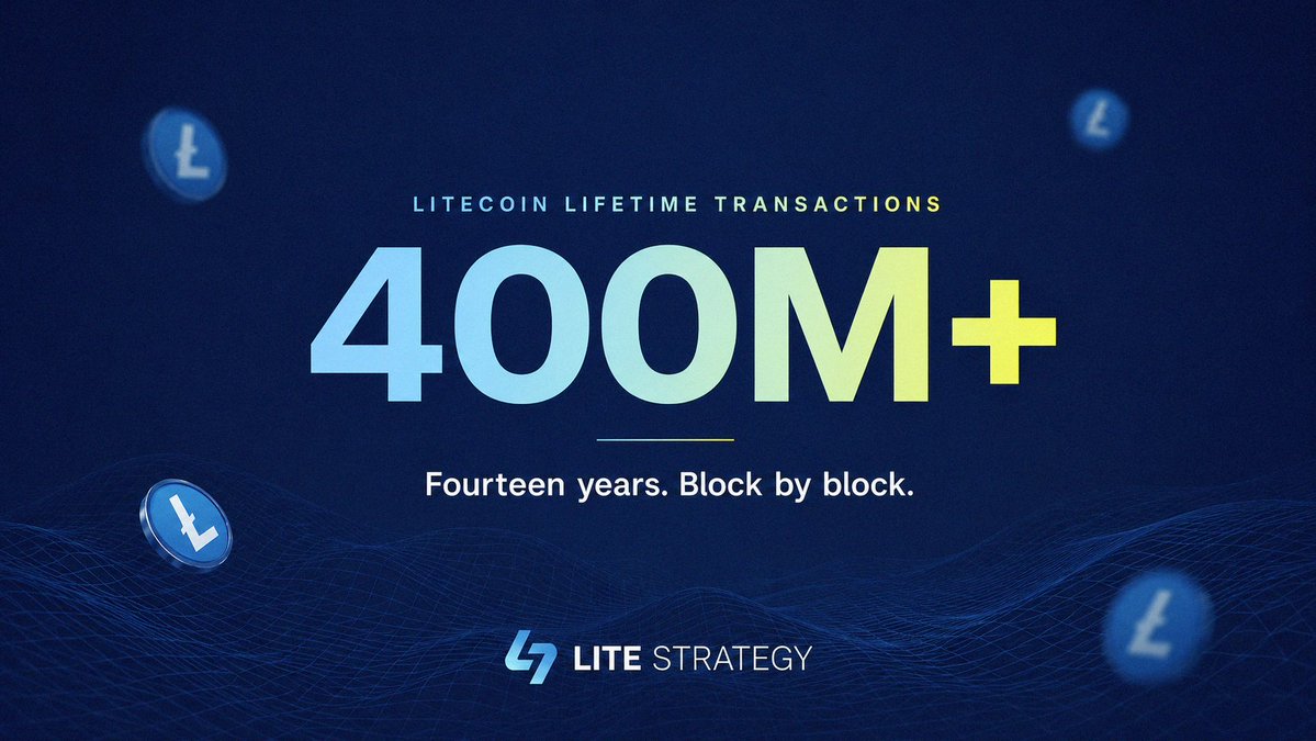 Lite Strategy tweet media