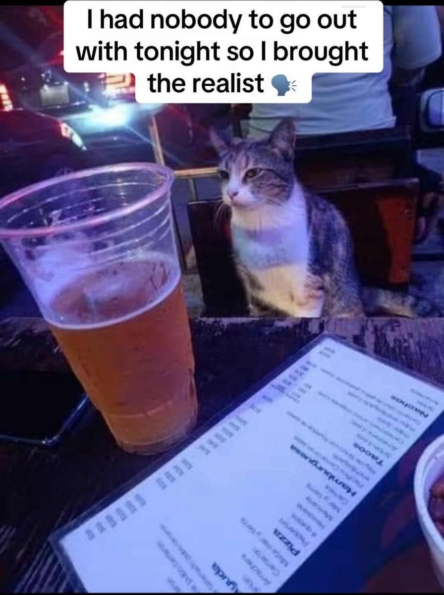 catsbeiingcats's tweet photo. https://t.co/HcF9FE4Rbs
