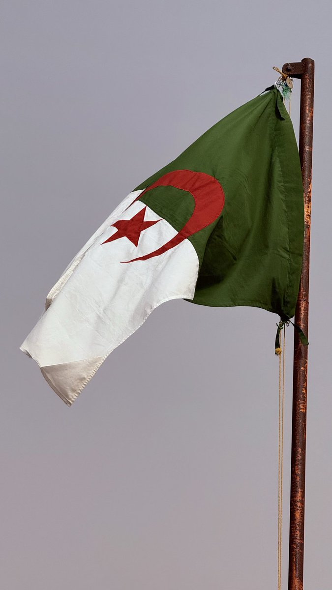 9saa_m's tweet photo. Wahran Wahran https://t.co/fOtlxkNBVm