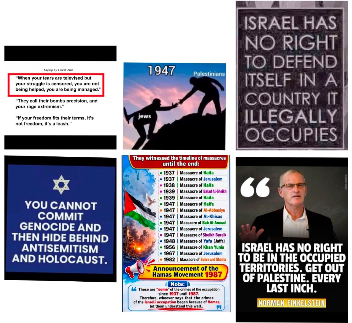 blue_resist513's tweet photo. @FurkanGozukara #Thread #Genocidal #Attacks over past couple of years♥️on #Innocent #Unarmed #Palestinian People #Children #Infant #Newborn #Elderly #Parents by #Zionist #Supremacist #Invader #illegal #Occupation #Annexation #Usurpation
https://t.co/AtjKgWicgR https://t.co/aMLAkMIqYa