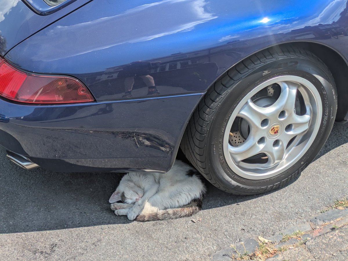 JustinR1984's tweet photo. Spotted this on my travels. Tempted to tell the owner the catalytic converter had fallen off, but it looked too comfy so I carried on my way . https://t.co/Sg4MNmy4Cq
