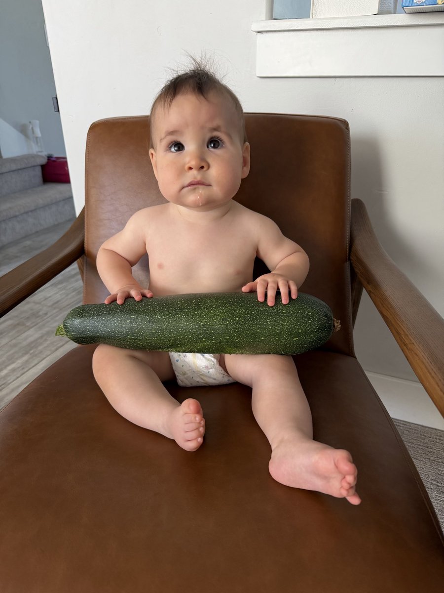 gregbullock88's tweet photo. Zucchini as big as a 9 month old. Found them both in my backyard this morning. https://t.co/TdGIWKo8yh