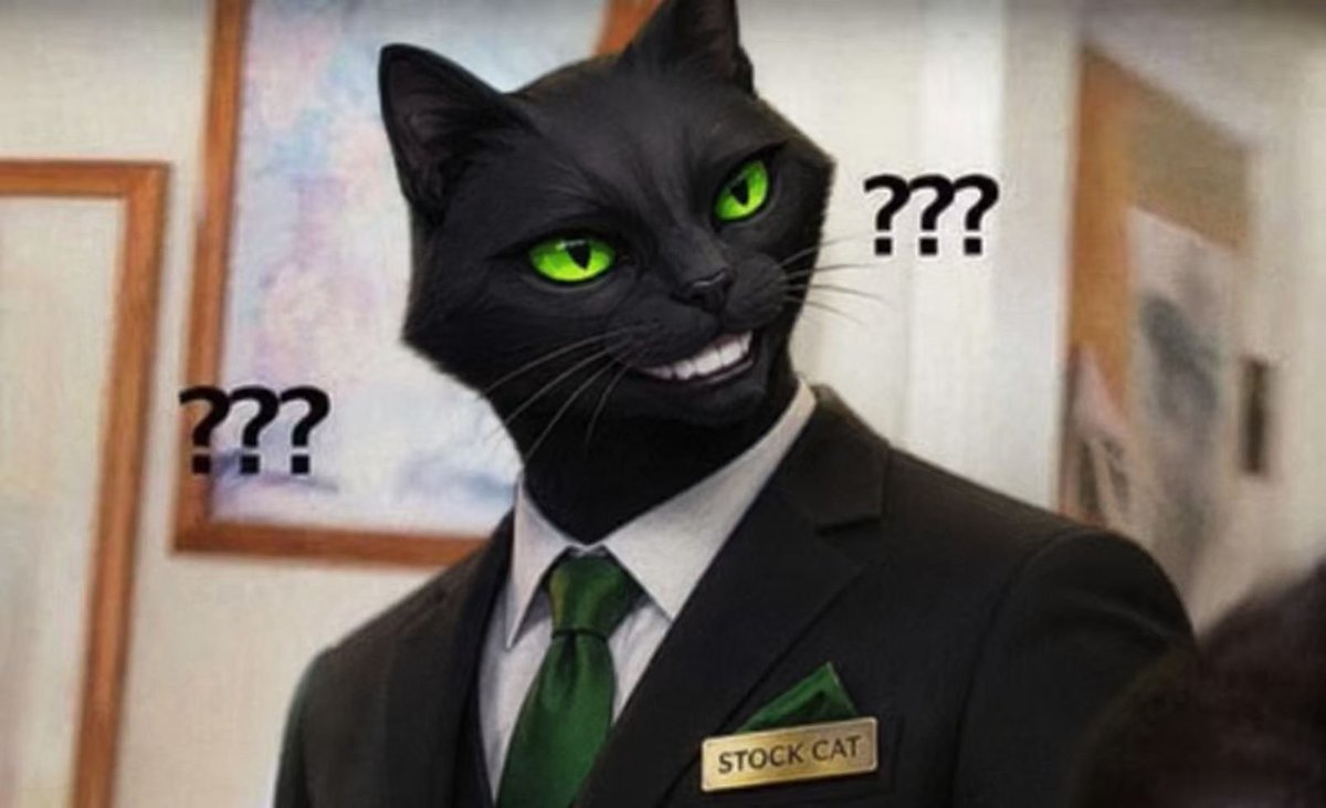 STOCKCAT_ROBIN's tweet photo. Wait, you're telling me you're still chasing short-term hype coins instead of holding long-term financial IP???? https://t.co/78R28GlOuo