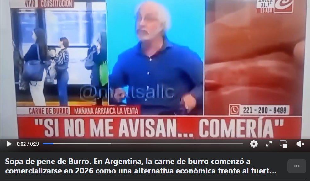 sapo pelón 🇲🇽 tweet media