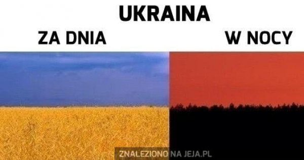 gagatekns's tweet photo. @smutnahistoria @jsachajko @tvp_info https://t.co/XfMegPYek6