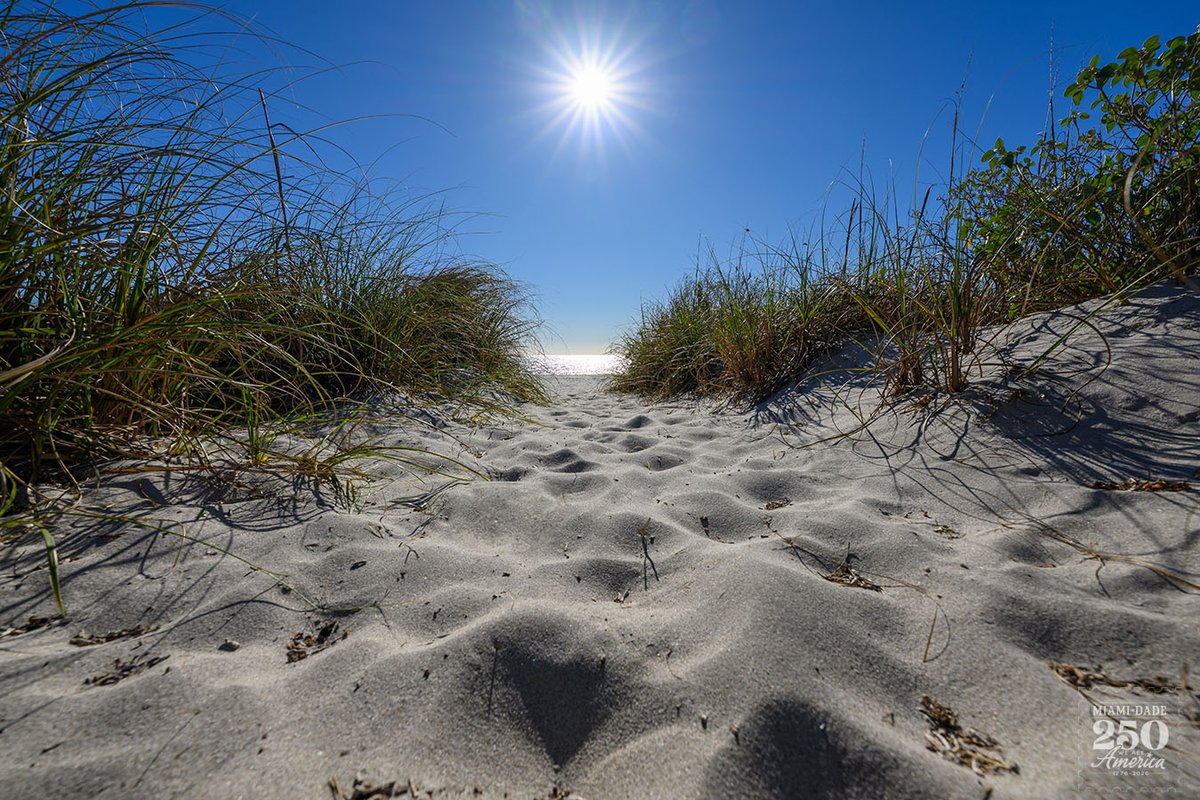 miamidade311's tweet photo. Sunshine, soft sand and endless blue skies — nothing beats a perfect beach day. What’s your favorite beach memory in #OurCounty? https://t.co/ptHBMMdTD6