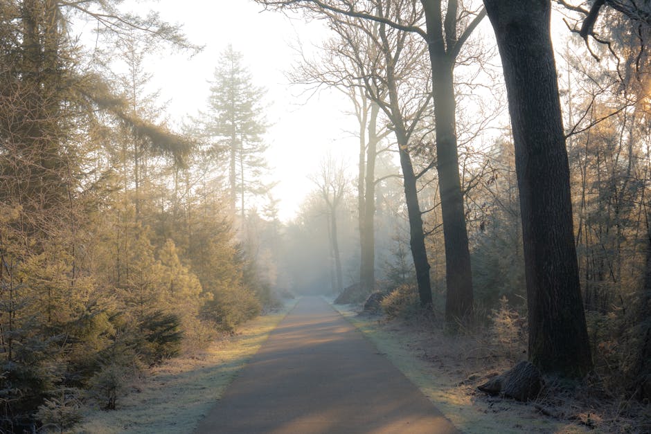 JeffersonDiggs's tweet photo. من دون الكلمات يمكن أن لا يجمع الأيام داخل القلوب. jena hopgood😴 https://t.co/q2tjZmnK90