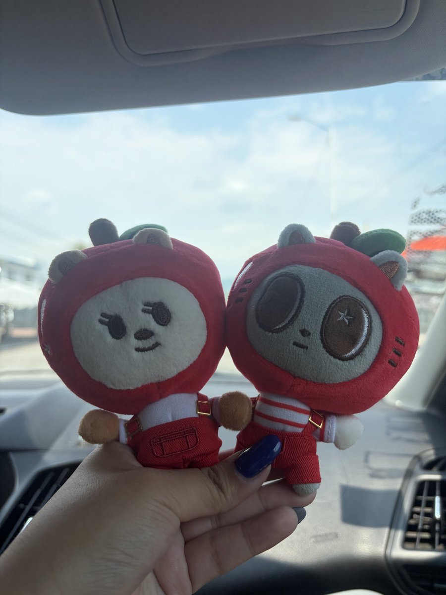 sybthk's tweet photo. Gente llegaron mis manzanas 🥳 https://t.co/PUDVzltKA3