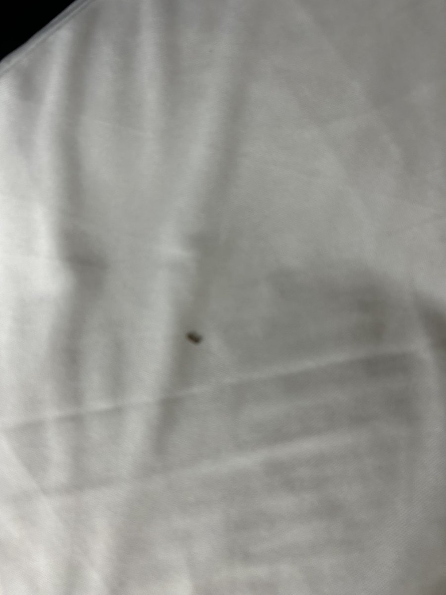 mmn0929's tweet photo. @bestwestern Des Plaines O’Hare. These are the sheets my daughter found on her bed. Bed bugs? Urine? Blood? Front desk said she didn’t qualify for a refund. Not bugs, but crumbs? So they didn’t change the sheets? I’m one night away from Platinum level. Do better!! Shame on you! https://t.co/VcwqZhzoVa