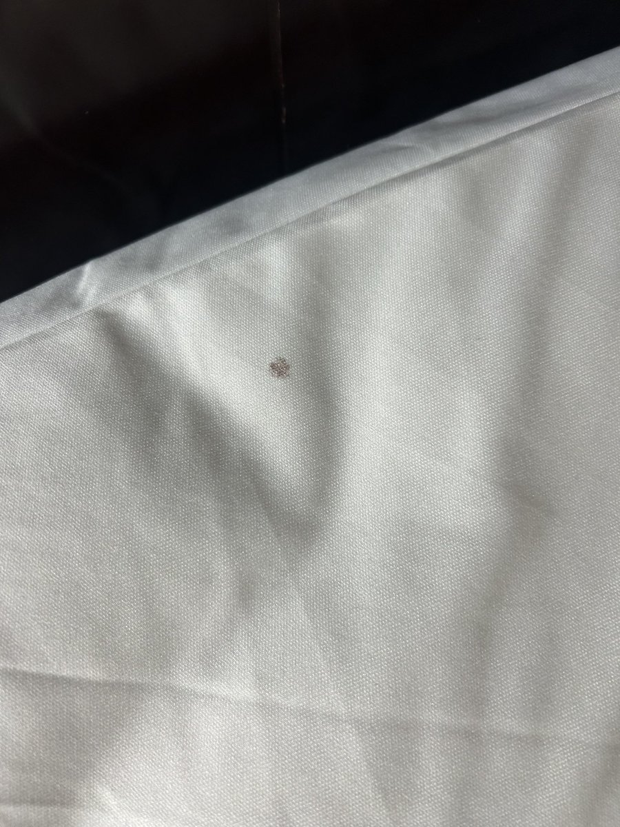 mmn0929's tweet photo. @bestwestern Des Plaines O’Hare. These are the sheets my daughter found on her bed. Bed bugs? Urine? Blood? Front desk said she didn’t qualify for a refund. Not bugs, but crumbs? So they didn’t change the sheets? I’m one night away from Platinum level. Do better!! Shame on you! https://t.co/VcwqZhzoVa