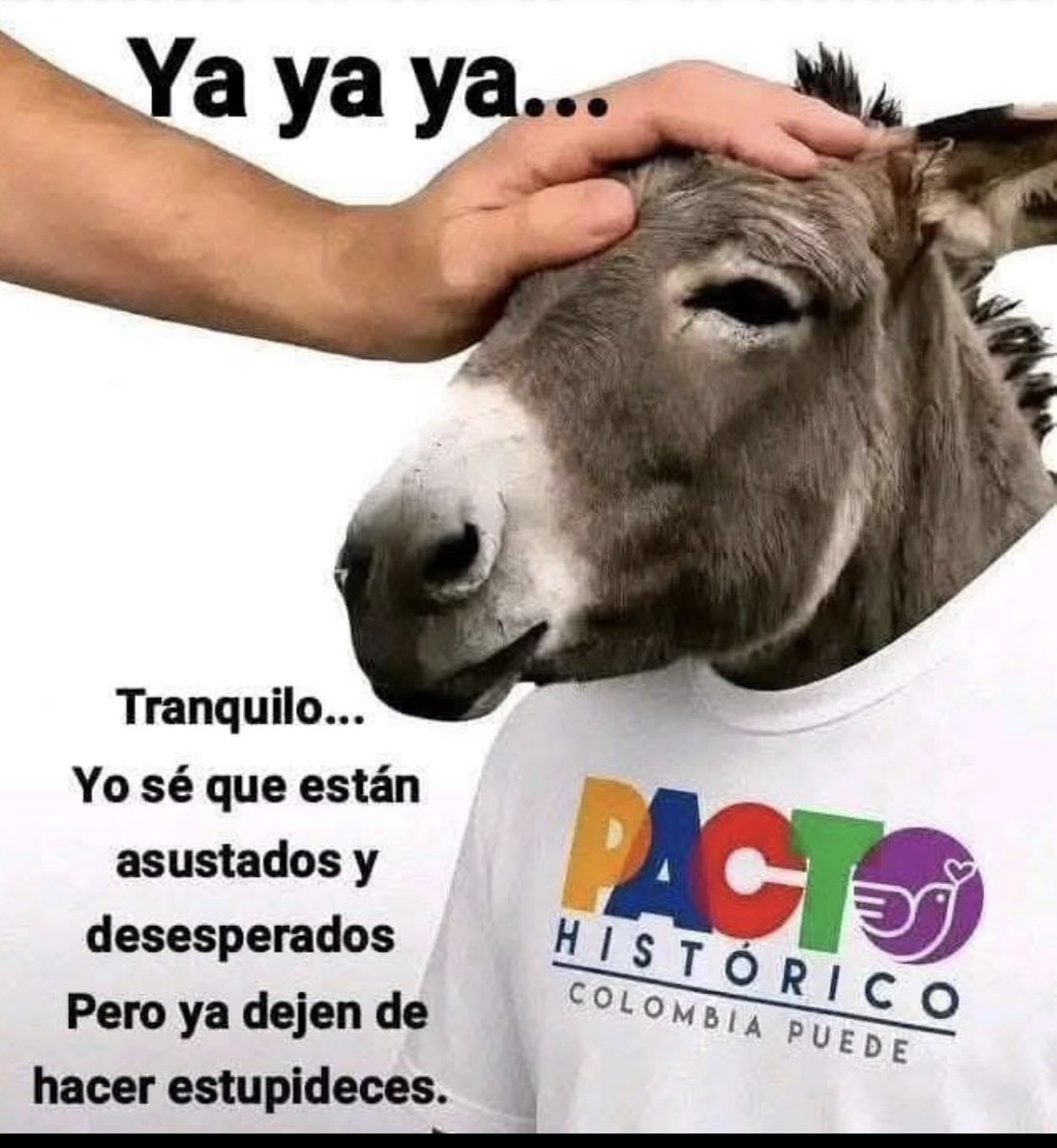 Mariengl1's tweet photo. A todos los que firmaron la “demanda de Nulidad” contra el Tigre Abelardo de la spriella, les quiero informar que se quedaron mamando, sigan intentando😎 https://t.co/wgXWJYXf6U