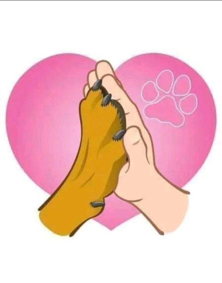 silesto911's tweet photo. Our story is written in fur 🐾♥️ https://t.co/nnVn29yVHS