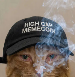 budgiess's tweet photo. https://t.co/kbspNfNinZ