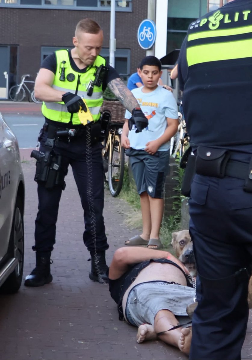 Agenten gebeten door hond na ongeluk in Amersfoort
