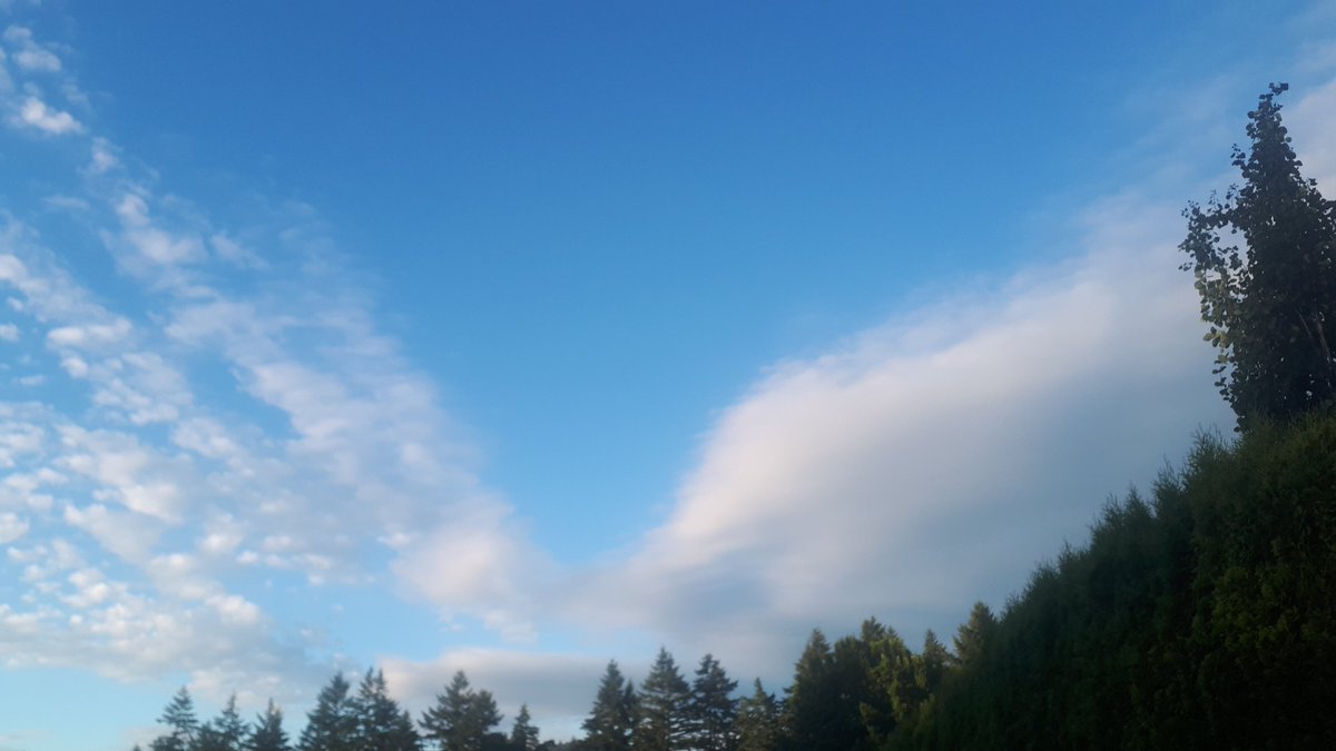 Mischa420222's tweet photo. @nogps1 Found this pic interesting...esp. aftr watching a few of ur weather radars...looks familiar...pic taken yesterday: https://t.co/dtfIZEBmTJ