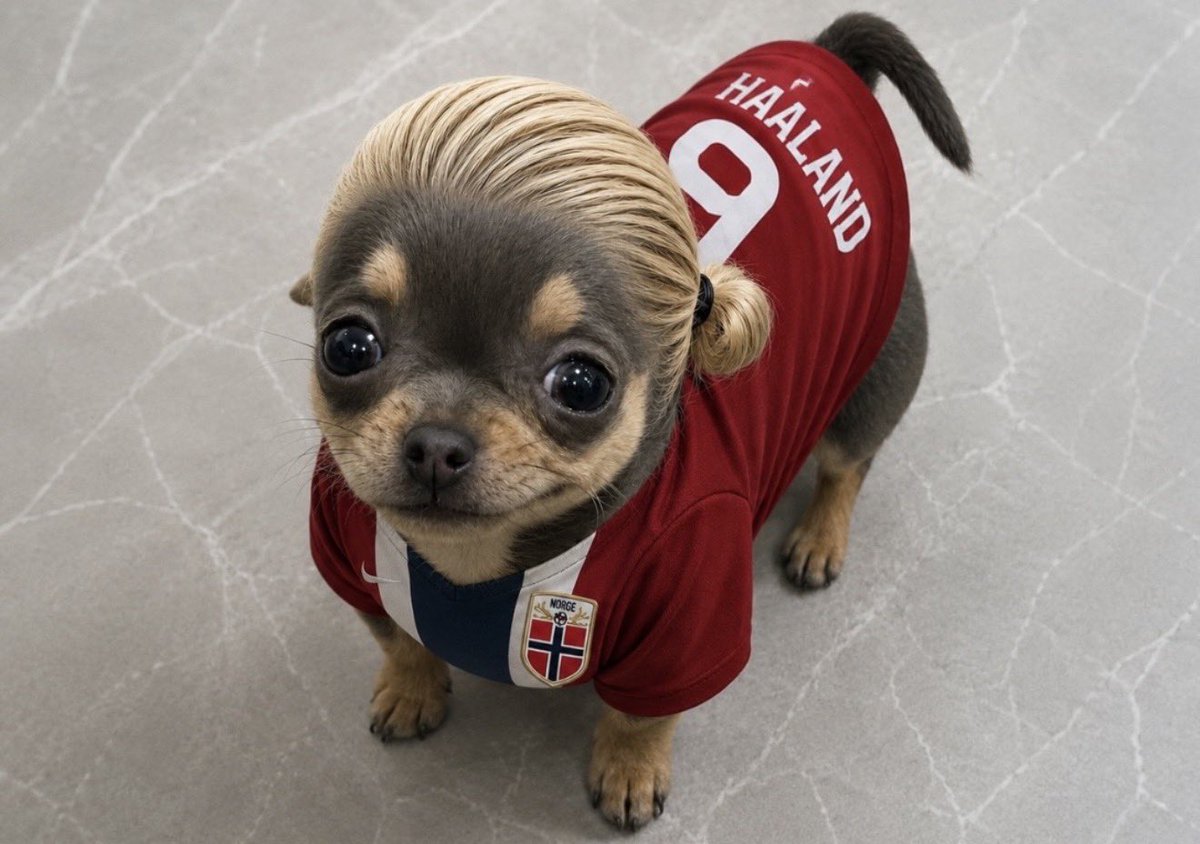 Guarromantico_'s tweet photo. Te queremos mucho, Haaland 🇳🇴 https://t.co/JWj96PT2Kd