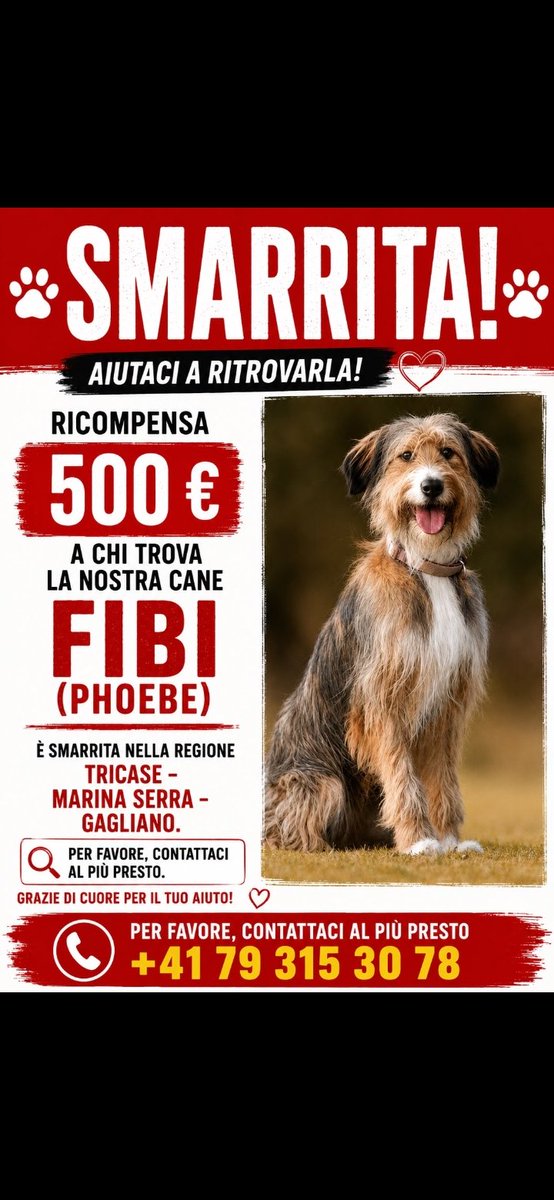 nebbiafatata's tweet photo. 🆘️🆘️🆘️🆘️🆘️🆘️🆘️🆘️🆘️🆘️🆘️ https://t.co/EPCPTD7mEx