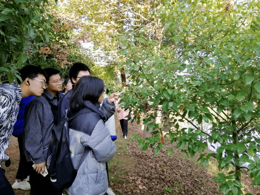 z1nuwsck2SbHMLu's tweet photo. Our campus environmental club’s tree-planting activity is going on now! Volunteers are planting saplings on the vacant lawn behind the library. Come join us to add a little green to our campus! https://t.co/fWSuUay5ug