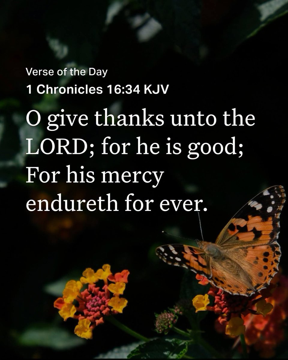 Godwakeupcall's tweet photo. #Verse4Today

1 Chronicles 16:34 KJV
O give thanks unto the LORD; for He is good; For His mercy endureth for ever.
---------  

https://t.co/kzEC5b43Bf #RightlyDivideTheWordOfTruth #LessonStudy #Devotionals 

https://t.co/EgtNS5G7F3 https://t.co/qy1dcbDy9g