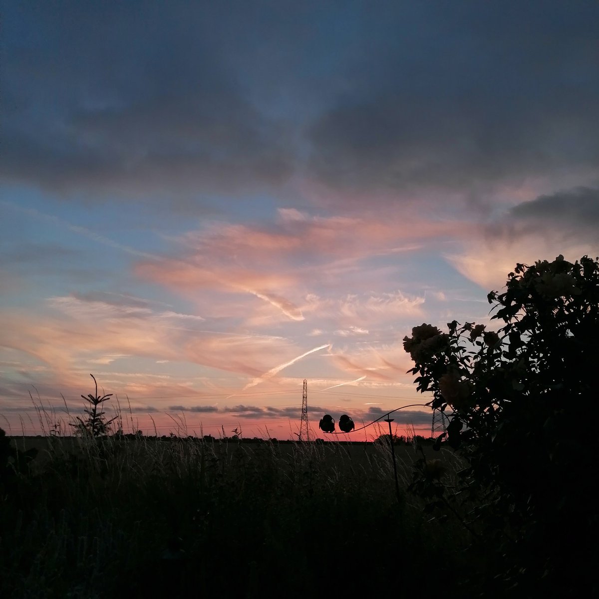 JonRead20 tweet picture