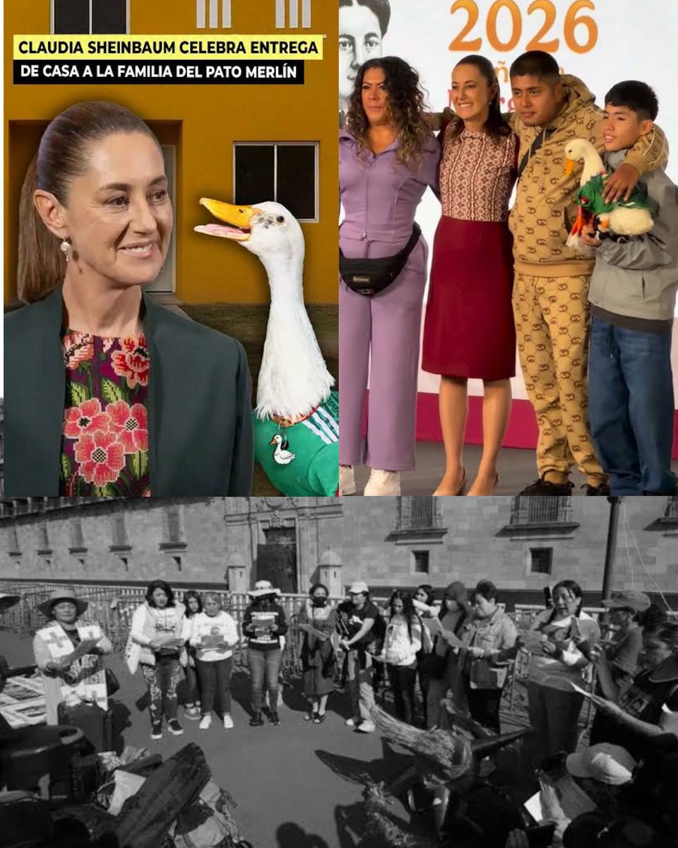 ArturoVill7's tweet photo. Las colectivos de búsqueda llevan ocho años intentando dialogar con el Presidente en turno, primero López Obrador y ahora Claudia Sheinbaum. 

Nunca las recibieron. Mientras buscan a sus familiares desaparecidos, tienen que costear de su propio bolsillo traslados, comida, herramientas y gran parte de las labores de búsqueda.

En cambio, un pato, en apenas tres semanas, consiguió espacio en la mañanera, videollamadas con la Presidenta y que a su dueña le facilitaran una casa.

Sí… así de claras son las prioridades de Claudia Sheinbaum.
