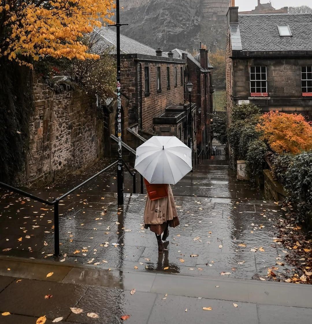 ____flowers__'s tweet photo. need to experience fall in edinburg https://t.co/PKta3bcvXz