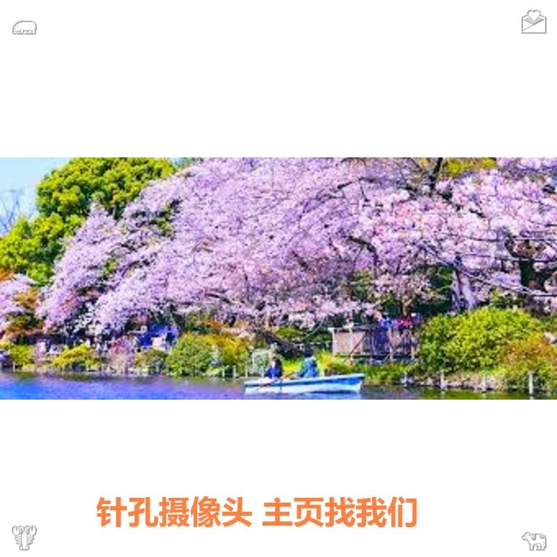 brodicam19's tweet photo. 🌖  考试设备 街拍抄底 探花手机

🙋  Grow through what you go through. 酒店偷拍 🌙

 @bananaa0012  👈六六【针孔摄像头】 https://t.co/E8eJRH4qtK