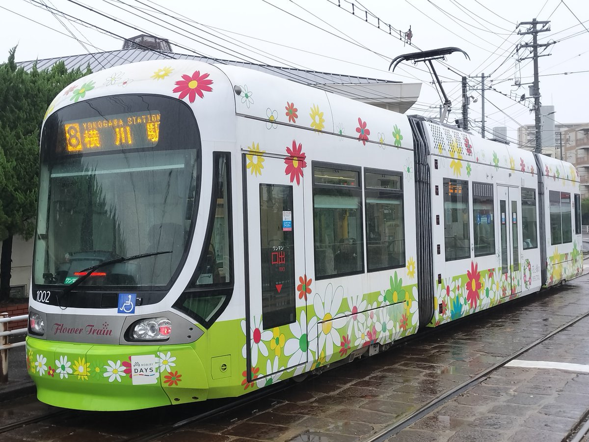 LEX1018_hiroden's tweet photo. #広電1000形
1002号「Flower Train」その12。正面窓、窓下の全扉乗降車両ステッカーが外された姿で8号線で運用中の写真。 https://t.co/lgtle1ETin