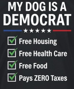 ALipsfabulous's tweet photo. @GavinNewsom @YoungDemsNV https://t.co/J9WLroQxFI