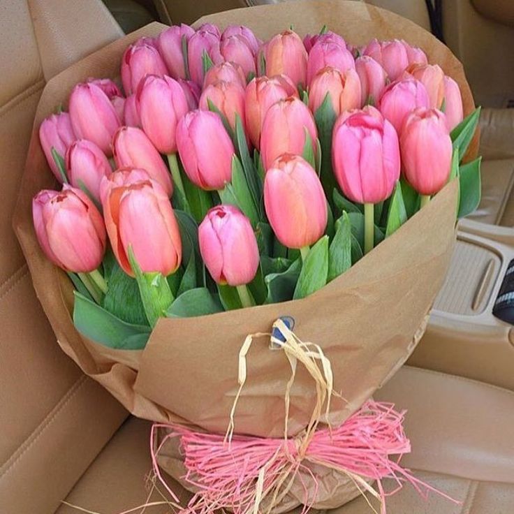 Flowersidmb's tweet photo. https://t.co/uI4UvG9uXG