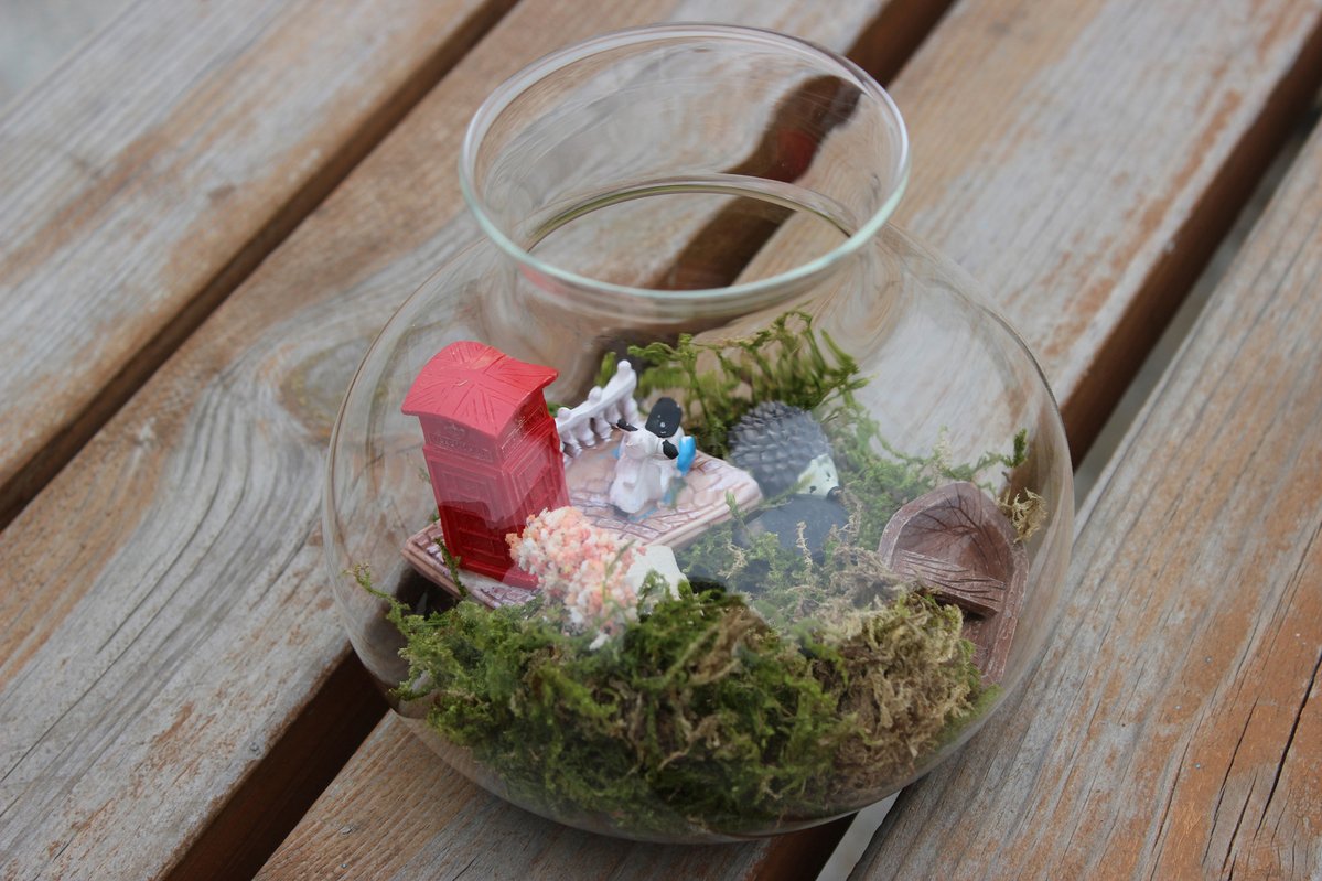 broiler90's tweet photo. Turn an old glass jar into a mini succulent planter—cheap, cute, and zero-waste! ， https://t.co/AgFPKtvlnh
