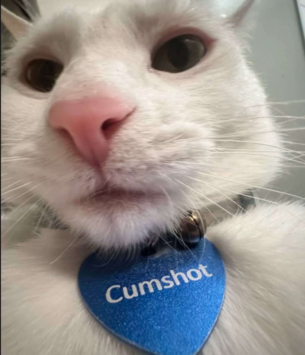gampsito's tweet photo. got any games for cumshot? https://t.co/ejiapqdwit