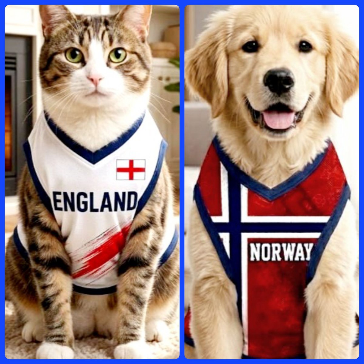 lynda3035's tweet photo. @HaziKat @FatSandra1 #RowRowRow🇳🇴 #ThreeLions ⚽️🏃🏼 https://t.co/LJQj2KruQe