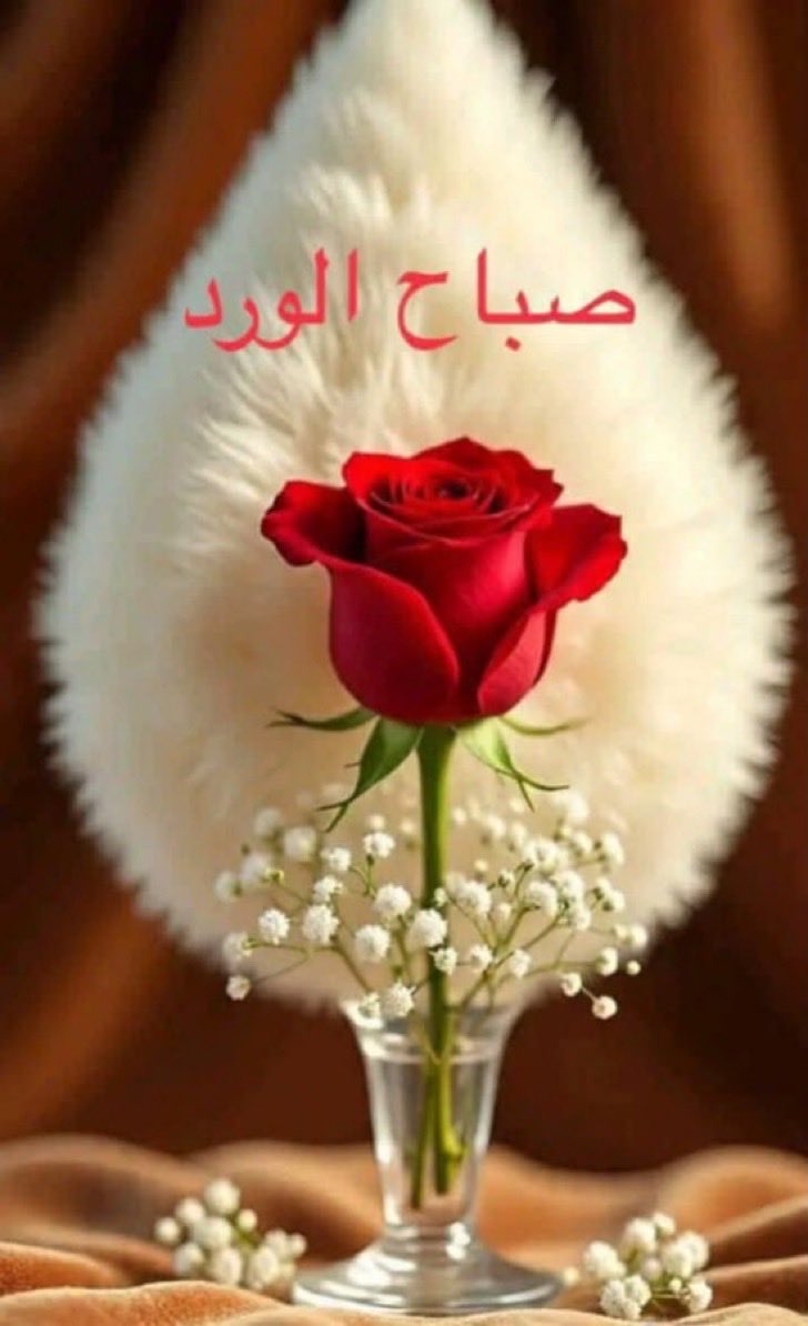 ♥️ 🇰🇼 بنت النور ♥️🇰🇼 tweet media