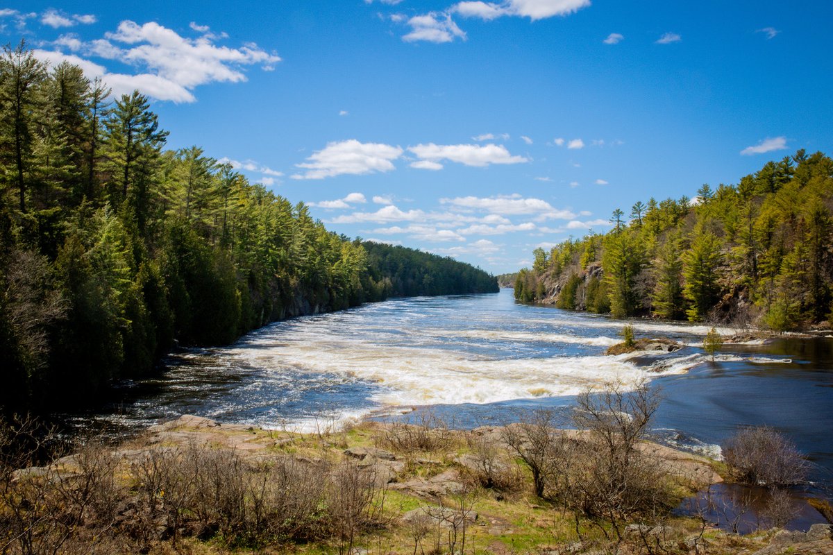 frenchriverpp's tweet photo. This Friday, July 17th is Healthy Parks, Healthy People Day!
Looking for the perfect place to connect with nature on #HPHP day?
Check out French River’s Recollect Falls Trail!
This 3km trail follows the French River, offering views of both forest and water!
#OntarioParks https://t.co/tMSAXkWc7y