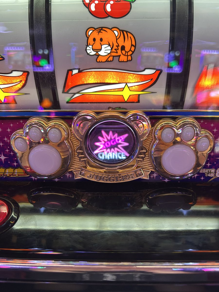 gogo_chance19's tweet photo. とっくの前にかどおわ！

有馬通せてれば捲り見えたけど、無理でした😇
ジャッジメント苦手すぎるから代行してくれる方募集!!ww
最後にマイジャグ座って4ペカさせて満足したので夜は宴🍻
いなさんご馳走様でした🙏
最後にシェイクまで感謝しかないです🥤 https://t.co/8ebeyCU4YG