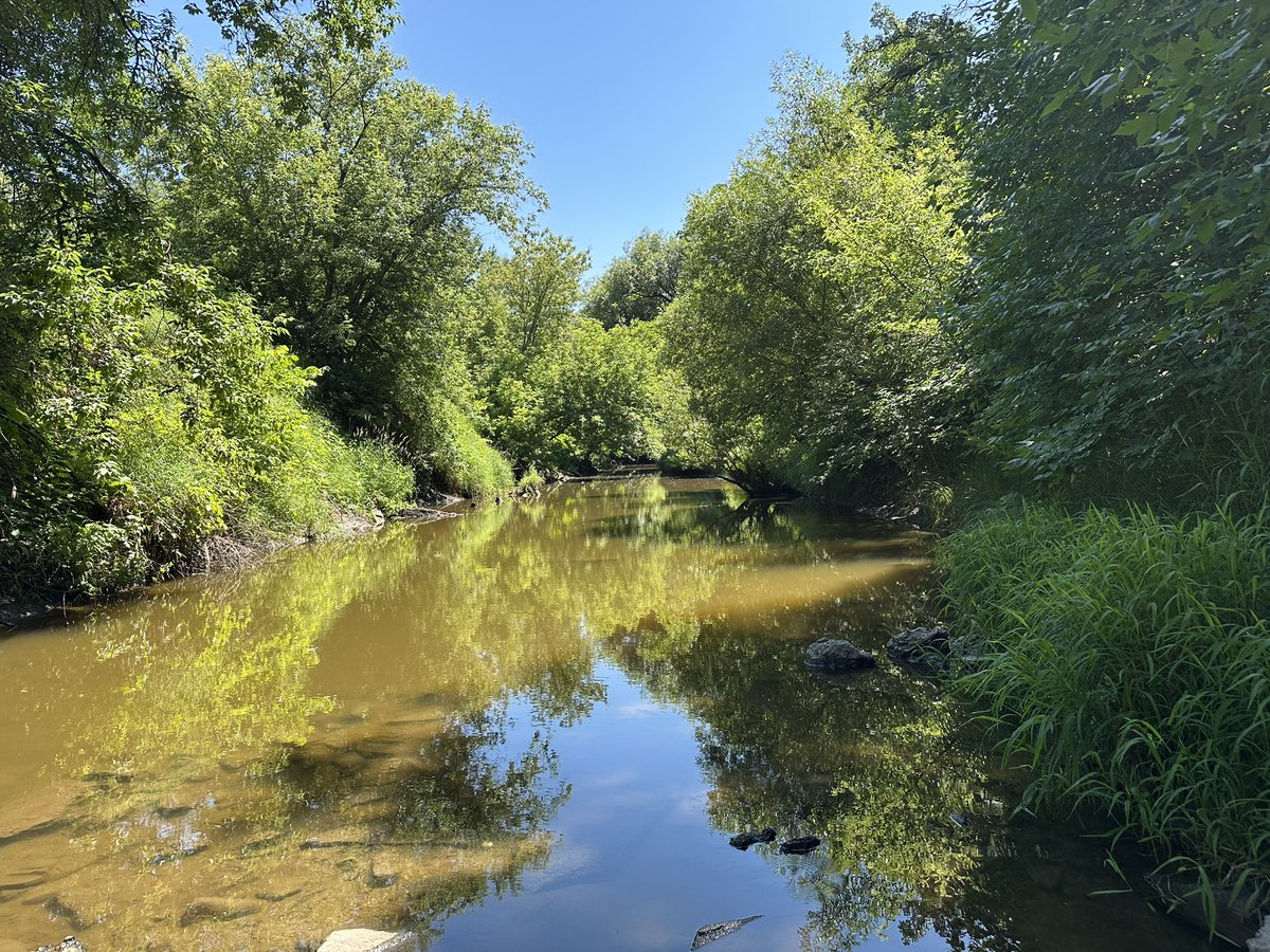 Sl3df1sh's tweet photo. Creek photos https://t.co/0FGNTYcyr9