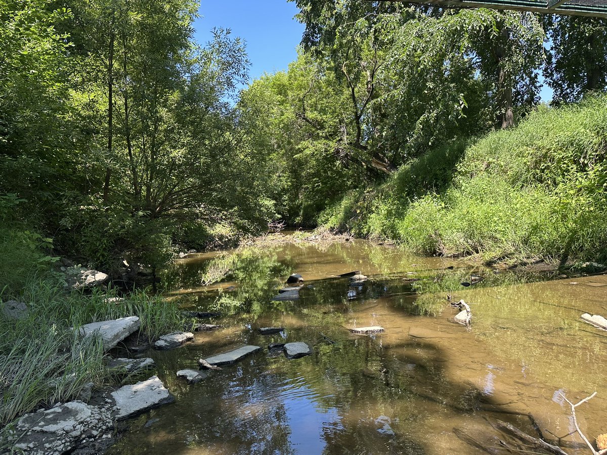 Sl3df1sh's tweet photo. Creek photos https://t.co/0FGNTYcyr9