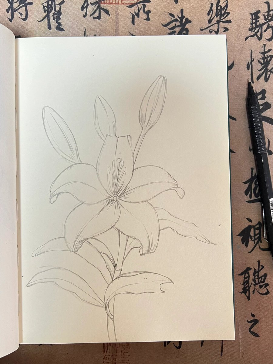 Tomoko8080's tweet photo. New hobby alert! Try 15 mins of daily sketching – it boosts creativity, cuts stress, and you might even make cute art to gift friends. Start small, have fun! https://t.co/V2rqZ6BH82
