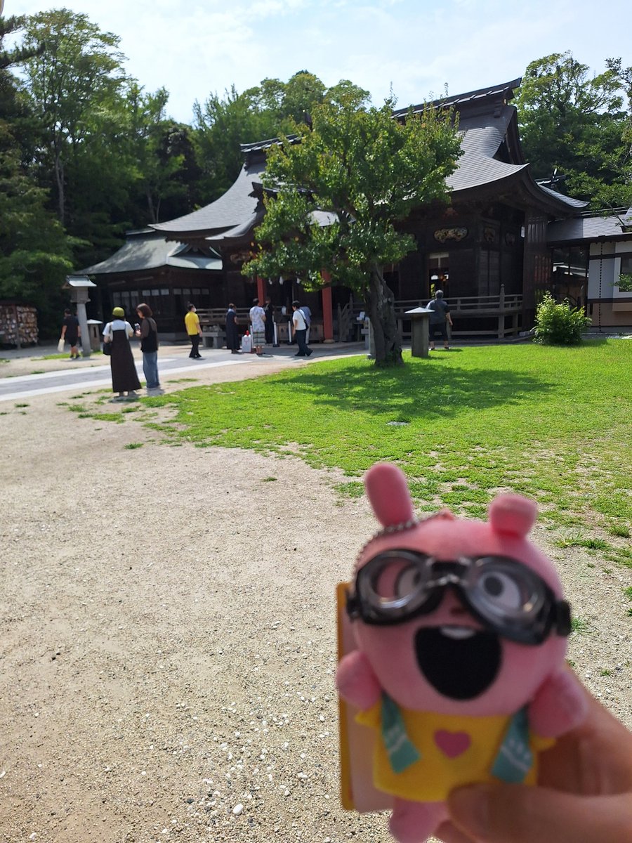 tsimio15's tweet photo. ラビちゃん連れて、大洗磯前神社と、酒列磯前神社行ってきました～ https://t.co/RPGygutvrh