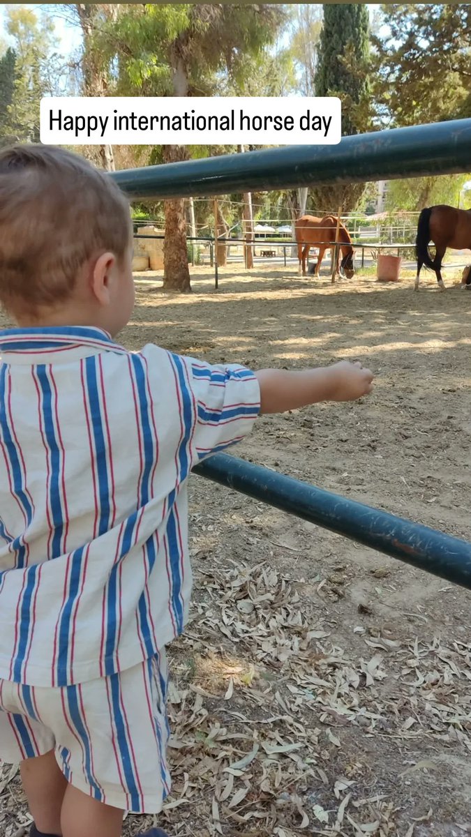 apetkana's tweet photo. #happyinternationalhorseday https://t.co/gqFhTMQqF2