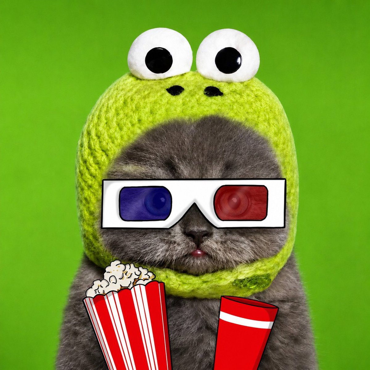 FrogCatonsol's tweet photo. Pfp’s coming soon. $FrogCat https://t.co/SYlr5rdqzn