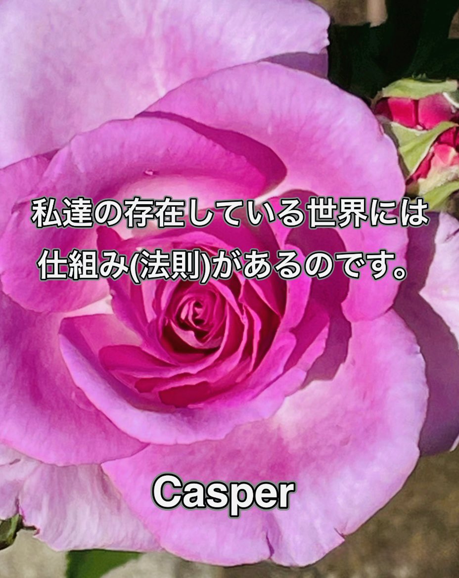 Casper95259831's tweet photo. 現実の結果(出来事)を観測(処理)しているのは、あなたの脳であり、意識に上がっている情報は習慣を優先した答えです。

あなたが習慣を変えようとしても、現実を変えようとしても、あなたの脳は習慣を優先する答え(解釈)しか出してはくれません。

どんなに周りと比べても、あなた自身の記憶にないものを脳は意識にあげる事が出来ないのです。

想像を繰り返しても、それぞれの記憶からつくられた憶測でしかなく、同じ結果を得る事が出来ないのはその為ないのです。

憶測に囚われている状態によって現状維持を続けさせられてしまうのです。

憶測は答えではありません。ただの解釈です。その解釈に囚われ続けてしまうのです。

あなたが望んでいるものは「結果」、それを憶測とすり替え続けられているのです。

何故なら、脳は現状維持にのみ働く機能だからです。

あなたが望む「結果」を得たいのならば、考える事ではない事に「気付く」事です。

あなたの在り方(バイオリズム)が整えば、あなたの過去の望まない結果は回収されます。

あなたが幸せに豊かに健康にその変化が起これば、あなた自身の今抱えている悩み、問題は全て回収さるのです。

あなたは幸せになれるのです。

私達の存在している世界には、あなたに必要な結果を得る仕組み(法則)があるのです。