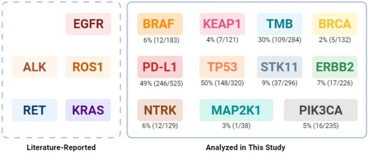 LiangChengMD's tweet photo. What’s Genomic Drivers of Brain Metastases in Lung Cancer? I am delighted to share our article published in Neuro Oncology Advances @EditorNeuro by Dr. Wang and her colleagues Drs Liu and @drabbaseabbas @bcarneiro7 @mhadfield30 @BrownPathology @BrownUCancer 
 
Brain metastases remain one of the most devastating complications of advanced non-small cell lung cancer (NSCLC), affecting up to half of patients during the course of their disease and significantly compromising both survival and quality of life. In this comprehensive systematic review and meta-analysis of 19 studies involving 3,028 patients, we provide an updated synthesis of the genomic landscape driving brain metastases and its implications for precision oncology.
 
We identified TP53 mutations (50%), PD-L1 overexpression (49%), and high tumor mutational burden (30%) as the most prevalent molecular alterations associated with brain metastases. Additional clinically actionable but less frequent alterations included ERBB2, BRAF, NTRK, PIK3CA, STK11, and KEAP1, highlighting the remarkable molecular heterogeneity of metastatic NSCLC and the expanding opportunities for targeted therapies and immunotherapy. 
 
Importantly, our study demonstrates substantial genomic discordance between primary lung tumors and matched brain metastases, underscoring the importance of site-specific molecular profiling to guide individualized treatment decisions. The authors also review emerging targeted therapies, immunotherapeutic strategies, and ongoing clinical trials, providing a timely roadmap for integrating biomarker-driven precision medicine into the management of patients with NSCLC and brain metastases. This outstanding review will serve as a valuable resource for oncologists, pathologists, translational researchers, and neuroscientists seeking to improve outcomes for patients with this challenging disease
 
Full article: https://t.co/oBfq3Rhnmp

https://t.co/oyQaAWrTgU