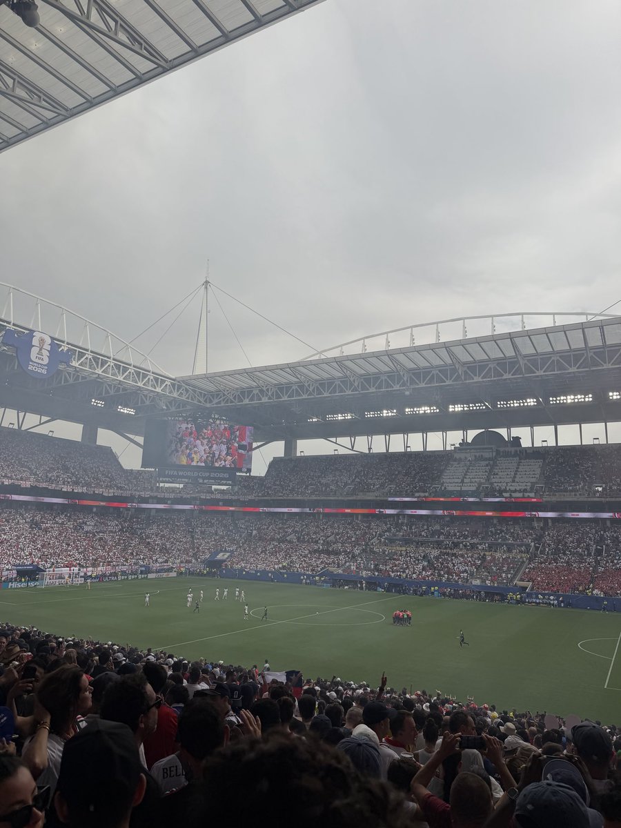 MattyFC tweet media