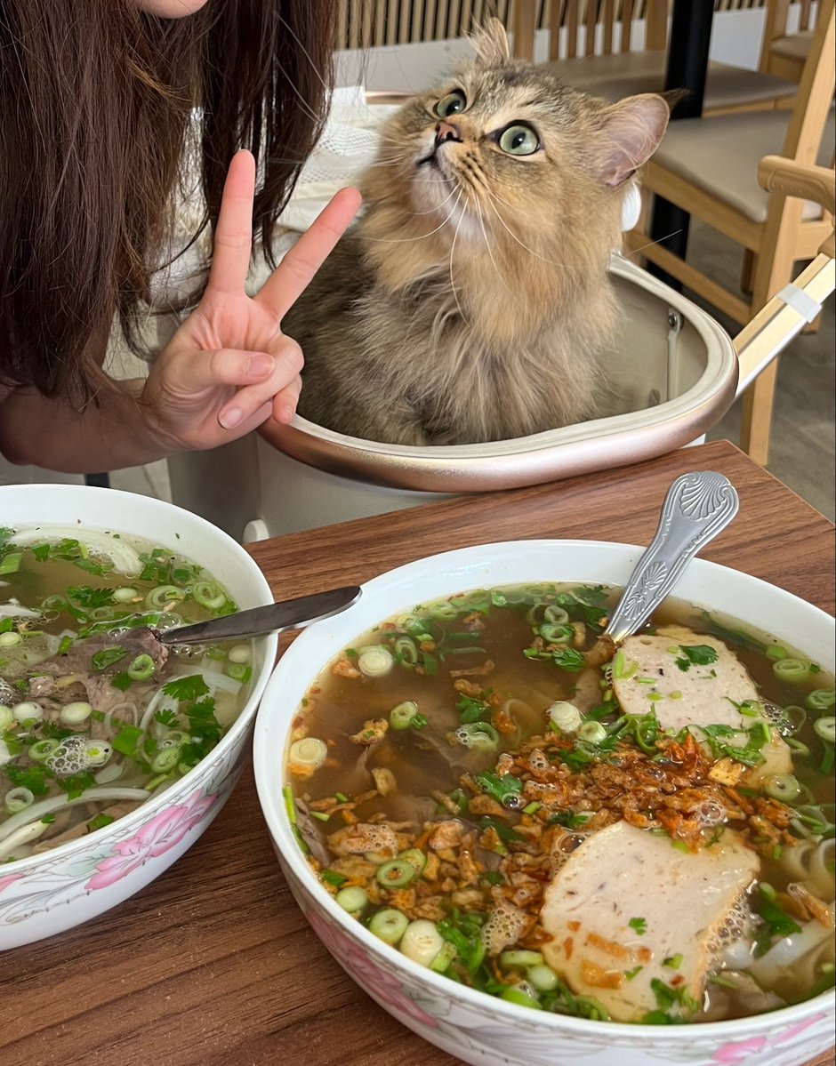 suchapurpose's tweet photo. #RAYラーメン部 https://t.co/lgztxrvcAR