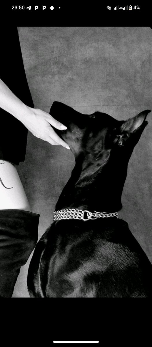 Aveknotty's tweet photo. Getting naughty with my boo🐾🐶💦 
Dm me for more exclusive contents 🥰
https://t.co/BOnrqfBIG2

#zoo #doglovers #blond #madeinusa #me #bestiality #zoophilia #love https://t.co/kSVUn1DXbG