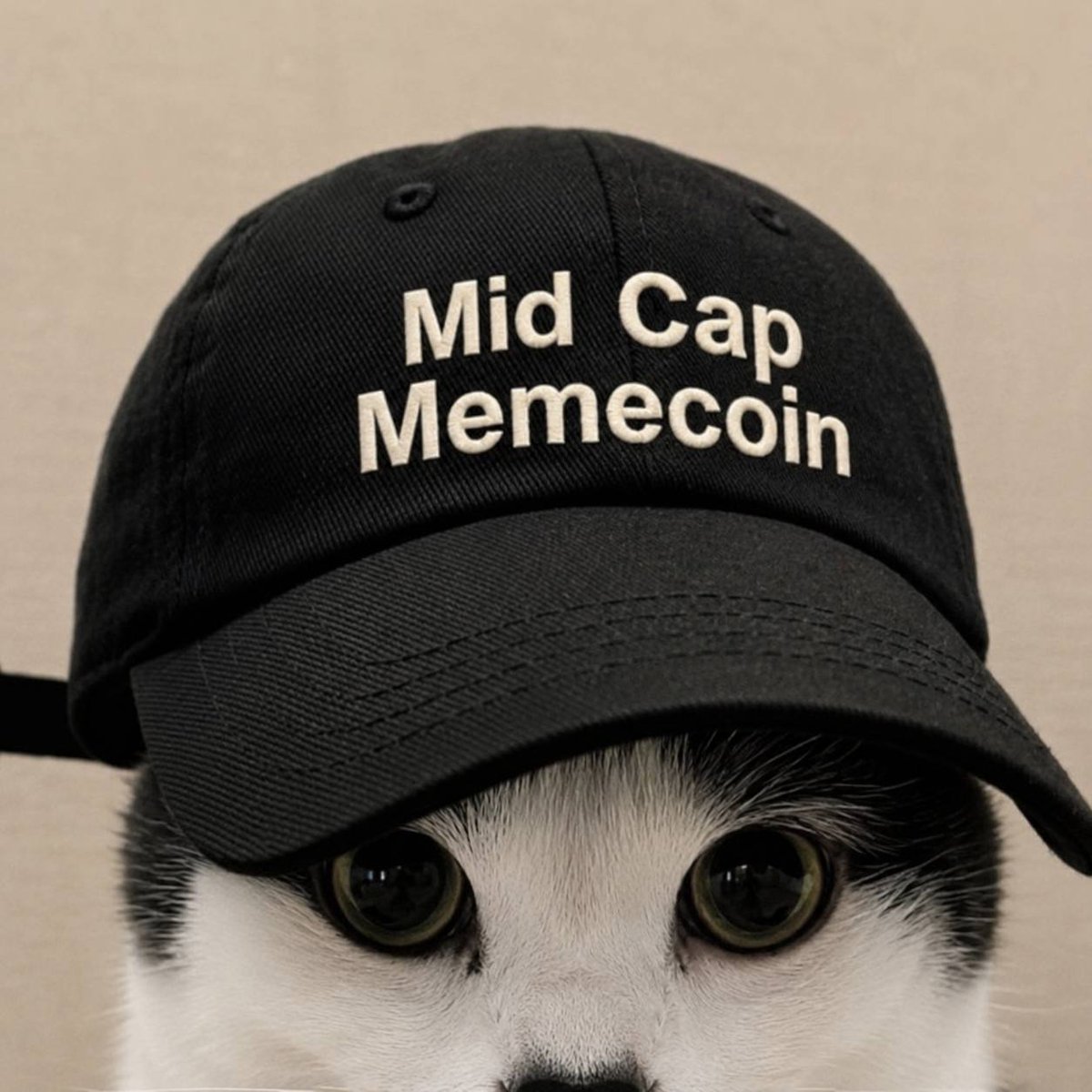 MrNovaaaa's tweet photo. Mid Cap Memecoin
$MCM

THE META IS GOING VIRAL 
WHATS IN BETWEEN HIGH AND LOW ITS MID !!!

Mid Cap Memecoin WITH THE ENERGY TO SEND TO THE MOON

RIDE THE HYPE, SEIZE THE GAINS, BE PART OF THE $MCM MOVEMENT !!!
PAYING DEX 20K!!!!
BOOST +TATTOO AT BOND!!!!!🚨🚨
✅GOING LIVE, BAG WORKING  
✅GOOD VIBES AND ENERGY
✅MARKETING COIN ON 150K TIKTOK FOLLOWERS ACCOUNT 21K SUBS ON YOUTUBE