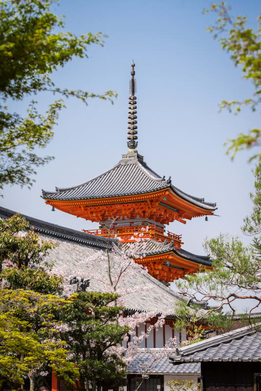 360vacationz's tweet photo. 🇯🇵Embark on an unforgettable journey through Asia with our captivating itineraries! Explore the enchanting beauty of Kyoto, Japan, where you can visit stunning temples and shrines. 🌸
Contact me today to book your dream itinerary and explore the magic of Kyoto! 📞 https://t.co/otLbySD9SI