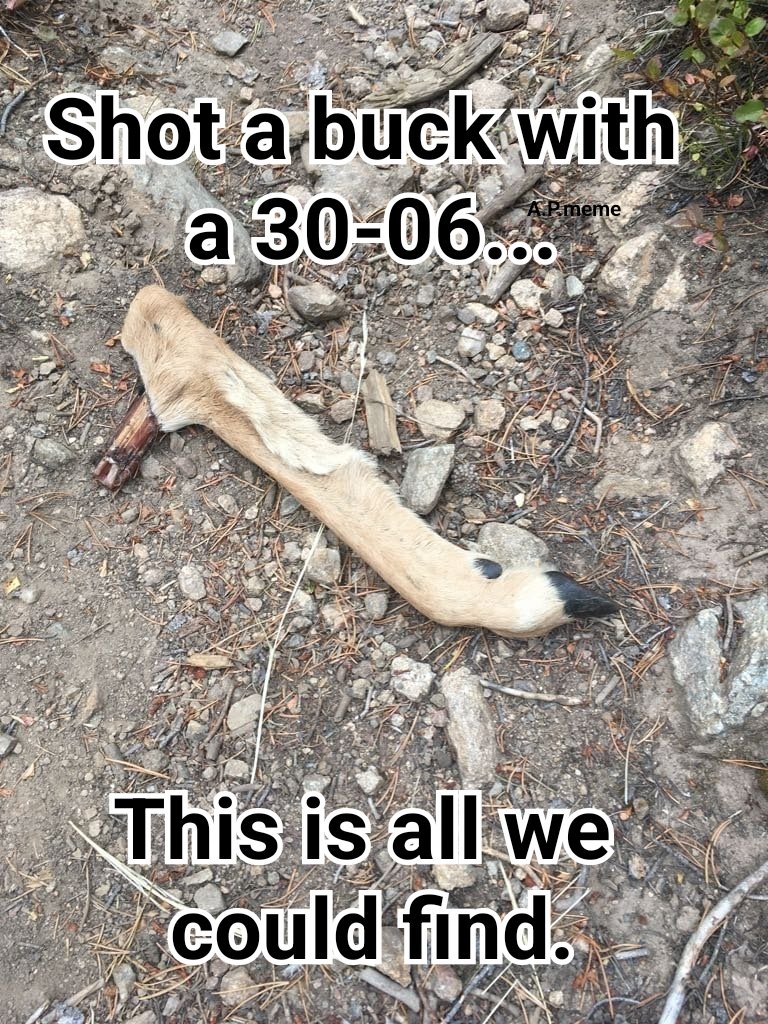 Utah Resident Gator Gars Viral 30-06 Gunshot Claim Spreads Online Amid Ballistics Debate — HM coH5awAASTdc Utah Resident Gator Gars Viral 30-06 Gunshot Claim Spreads Online Amid Ballistics Debate — HM coH5awAASTdc
